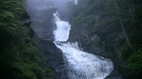 Evergreen_Forest_Waterfalls
