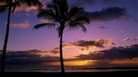 Tropical_Palms_Sunset