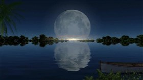 One_Moon-Lit_Night