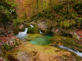 Autumn_Forest_Stream