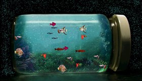 Fantastic_Aquarium