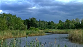 Stormy_Skies