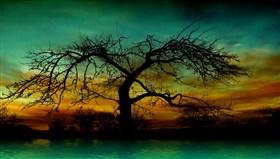 Gorgeous_Evening