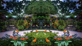 Island Garden Birds