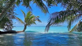 Tropical Waters