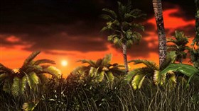 Jungle Sunset