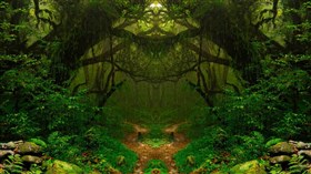 Amazon Rainforest