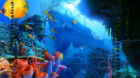 4K Coral Reef II
