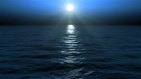 Ocean Nights