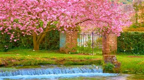 Garden Spring