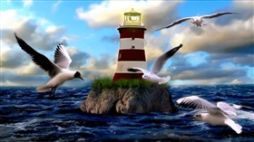 Lighthouse Gulls