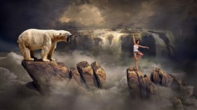 Polar Bear Dance