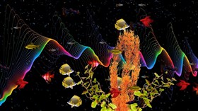 Aquarium Rainbow
