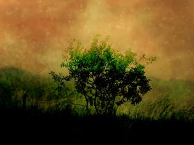 Green Bush