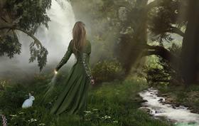 Enchanted Forest