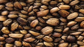 Bamboo Weave 4K