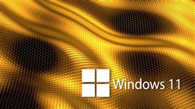 Win11 Snakeskin