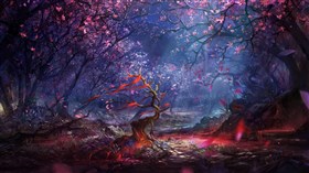 Enchanted Forest 