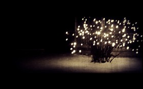 Night light