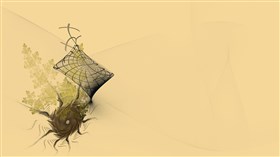 Spider, leaf and web