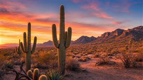 Arizona Desert Sunset