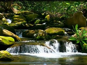 distant stream