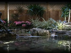 the kids pond