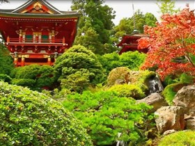 jap water garden