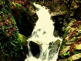 forest deep waterfall