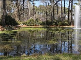 pond fountain
