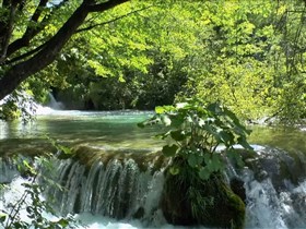 split falls