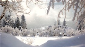 Sunrise winter scenery 