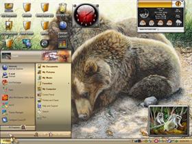 two bears