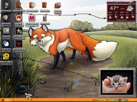 looking for a fox