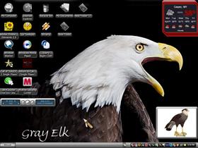 eagle cry1