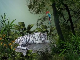 Tiger Woods