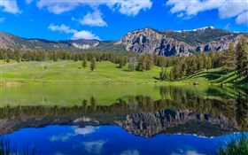 Trout Lake at Yellowstone National Park