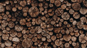 Woodpile Background