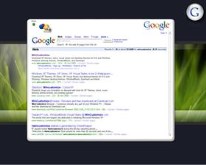 Google Browser