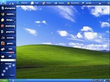 blue grassXP 1024x768