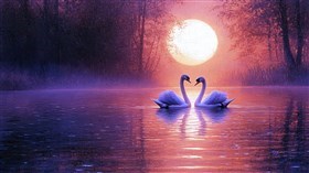 Swanz V1