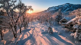 Snowland