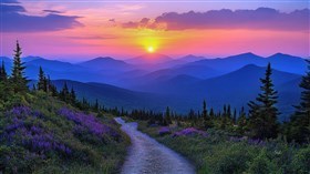 Valley of Pines