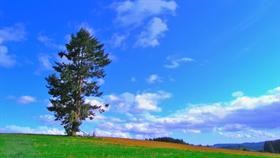 Poubel Hill