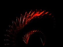 Ruby Snake
