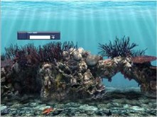 Aquarium Scene One
