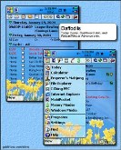 Daffodils