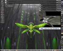 Dragon Flies