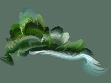Forest Stream