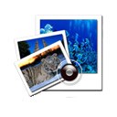 Pictures